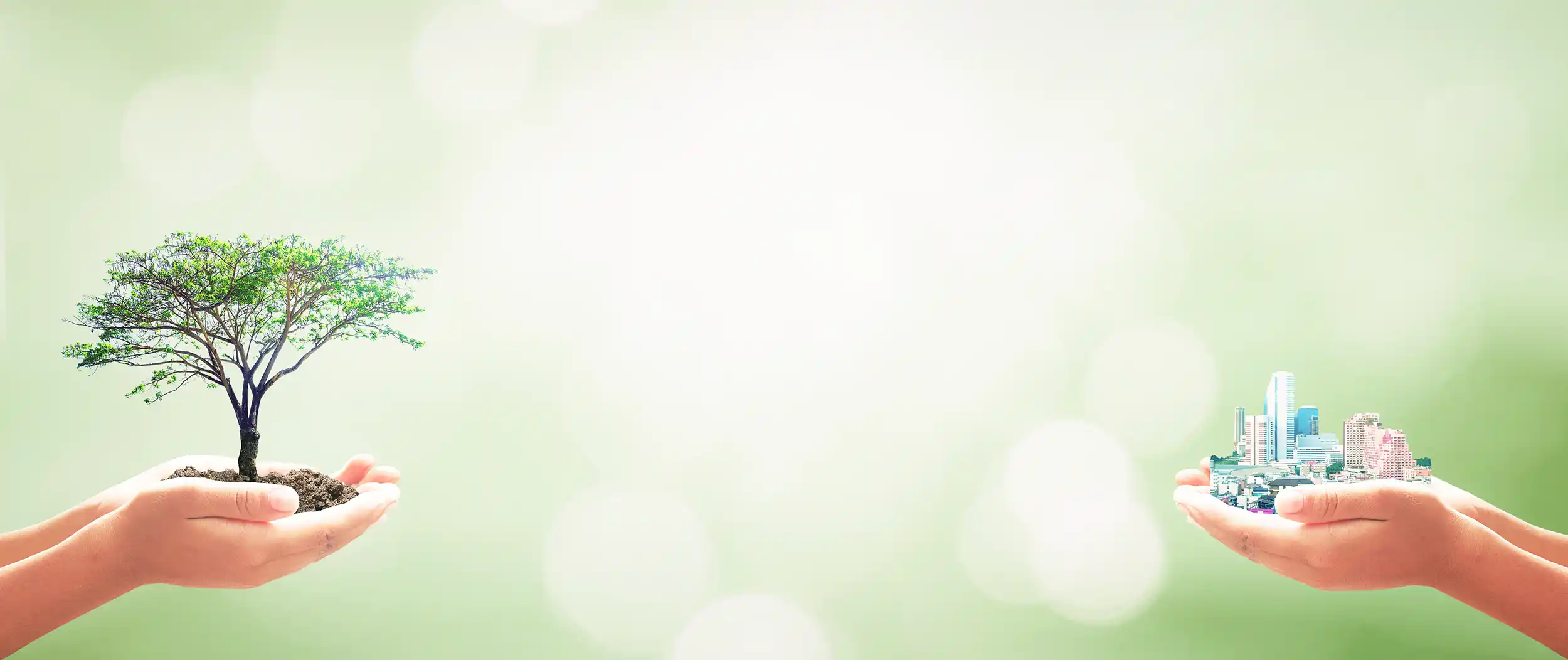SDGsのイメージ