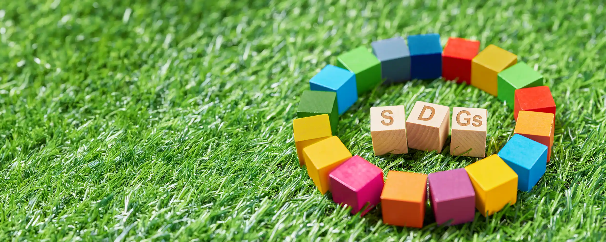 SDGs